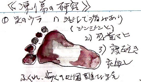 イメージ 8