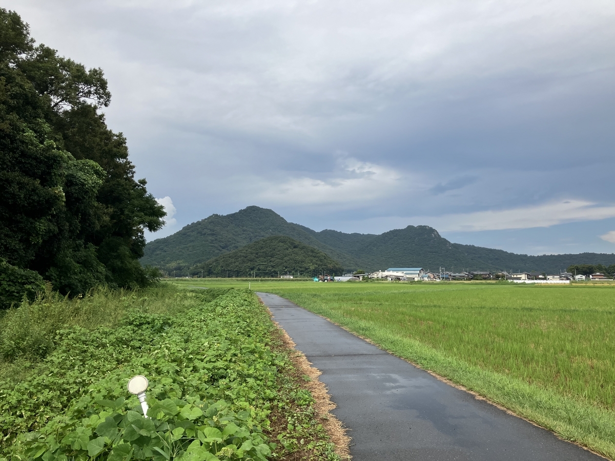 雨上がり後