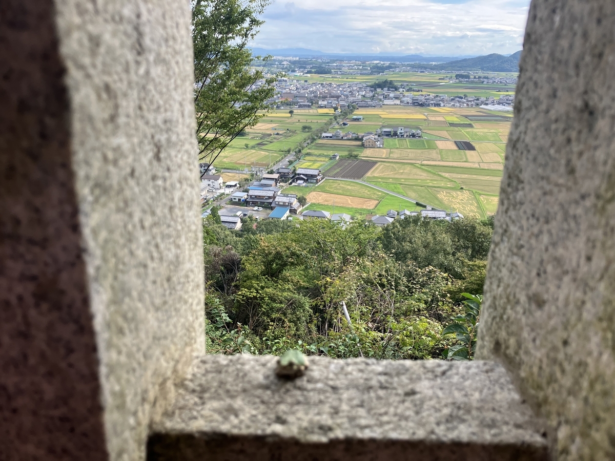 カエル