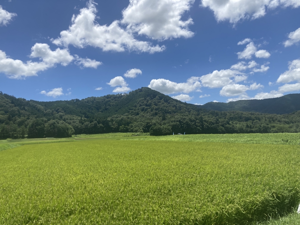 登山口までの道中