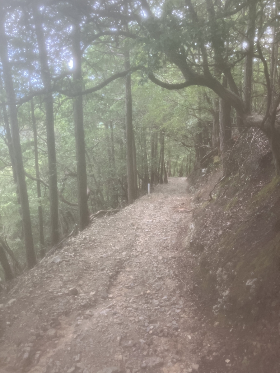 登山道