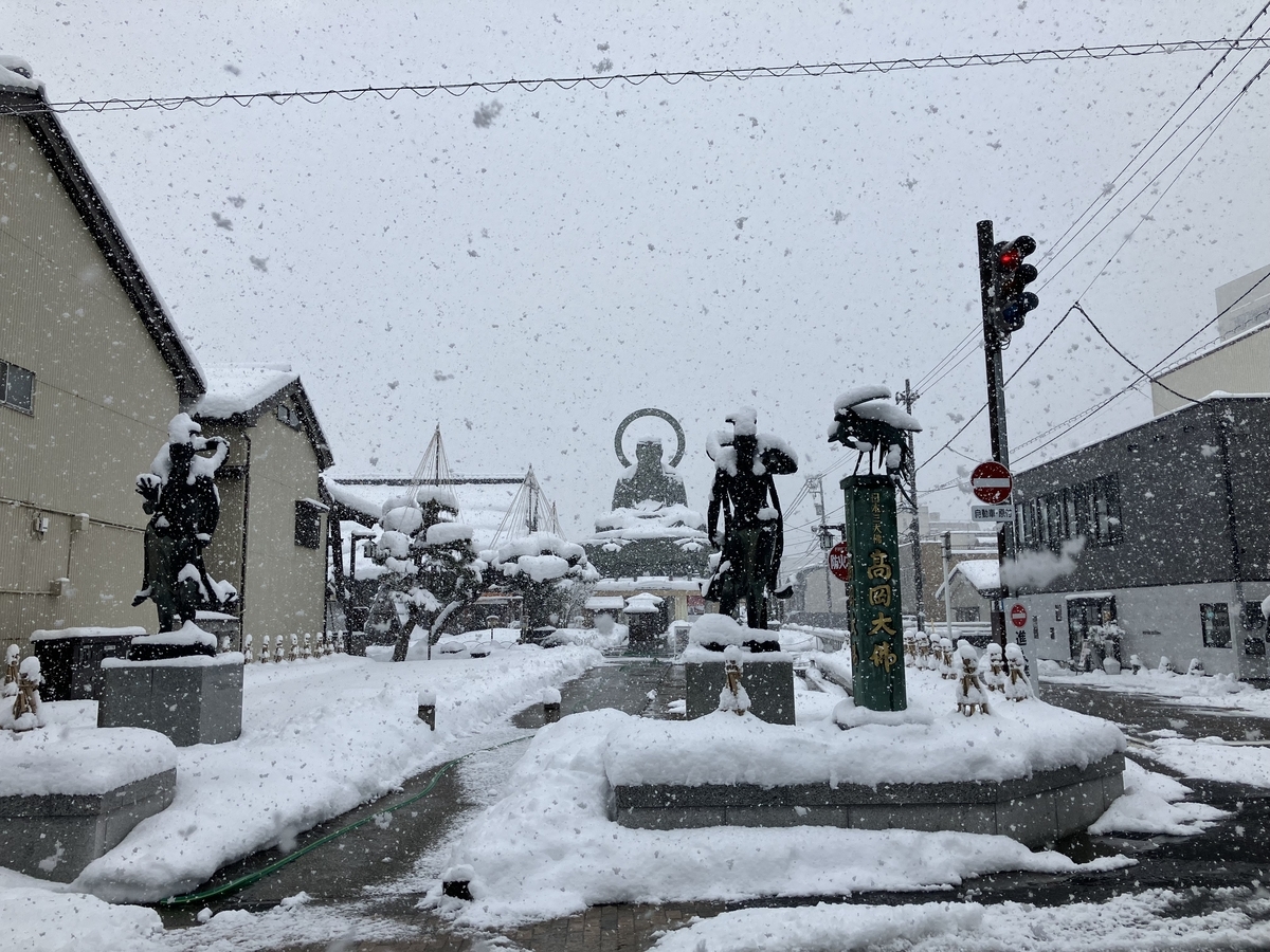 遠くからの高岡大仏