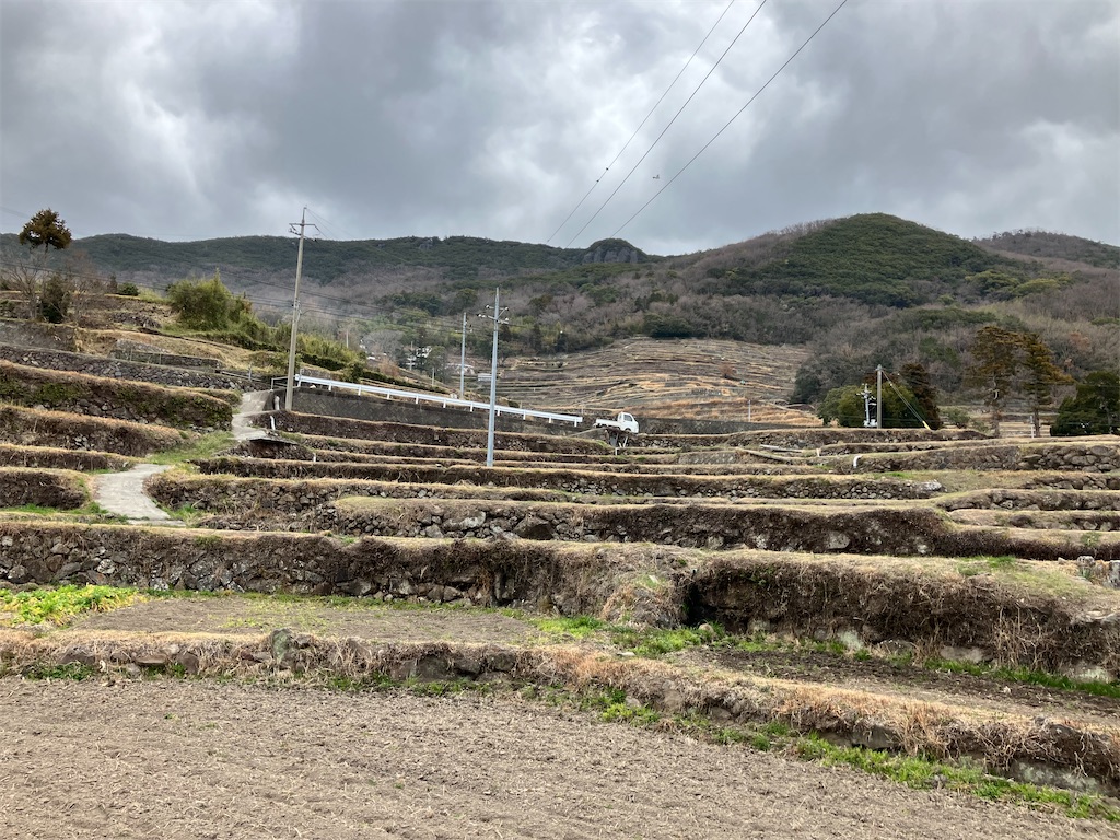 中山千枚田１