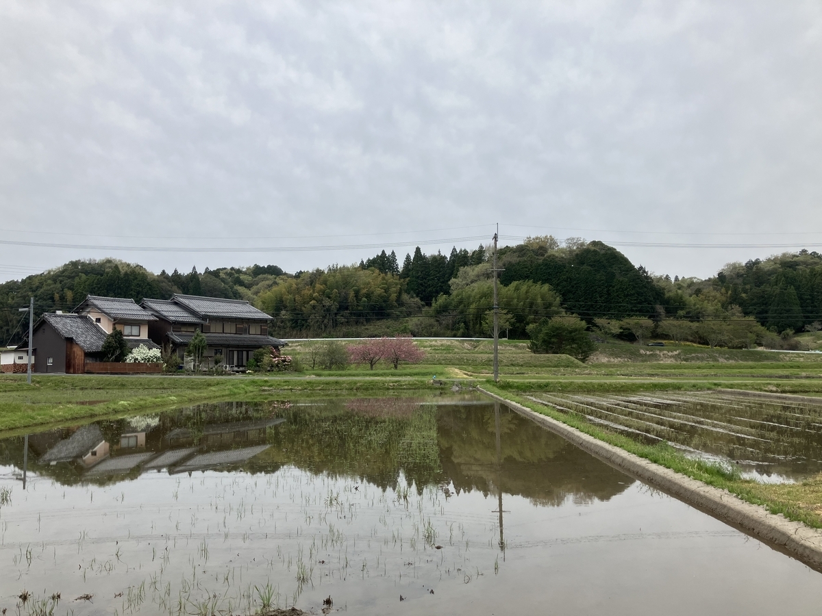 日野