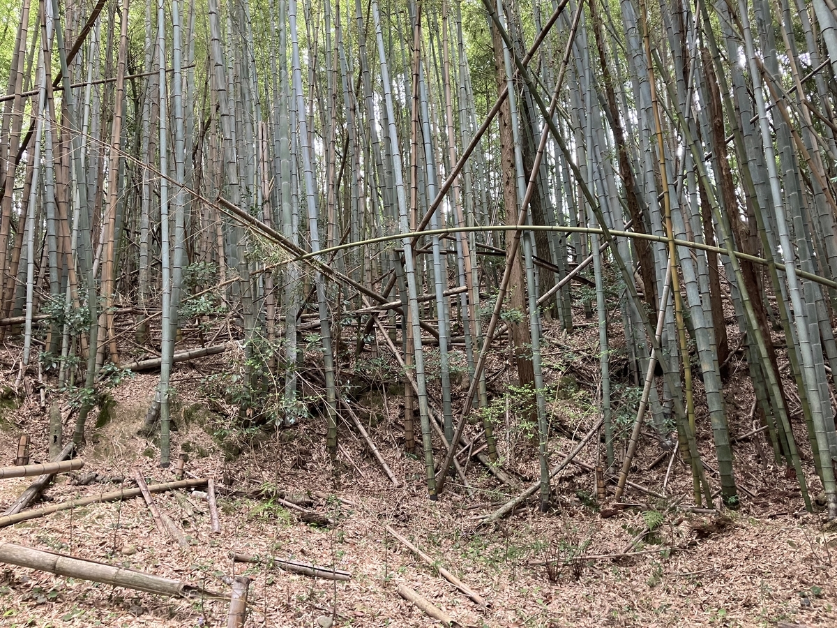 山