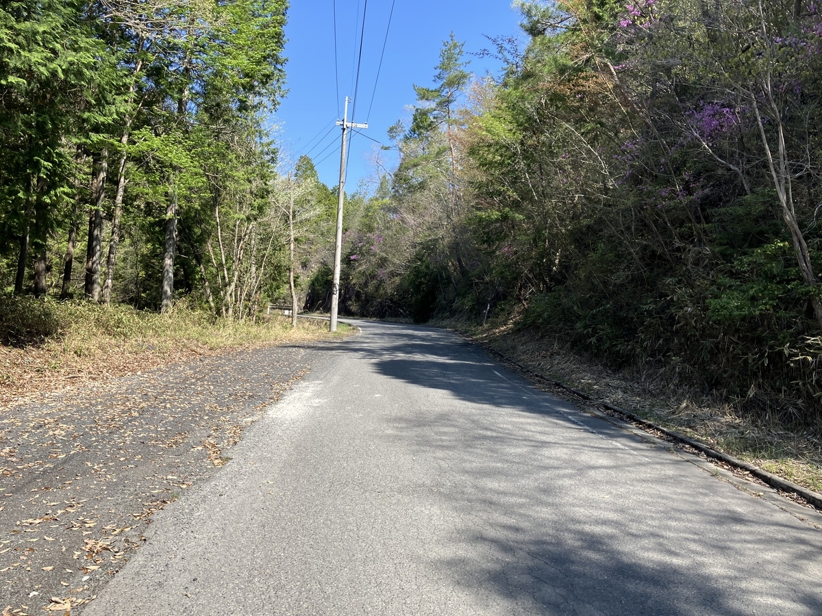 舗装道路