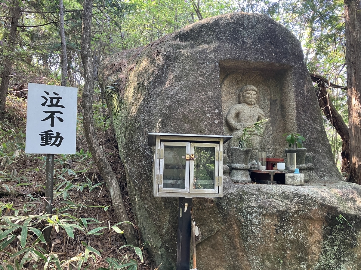 泣不動
