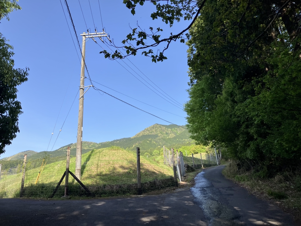 舗装道路