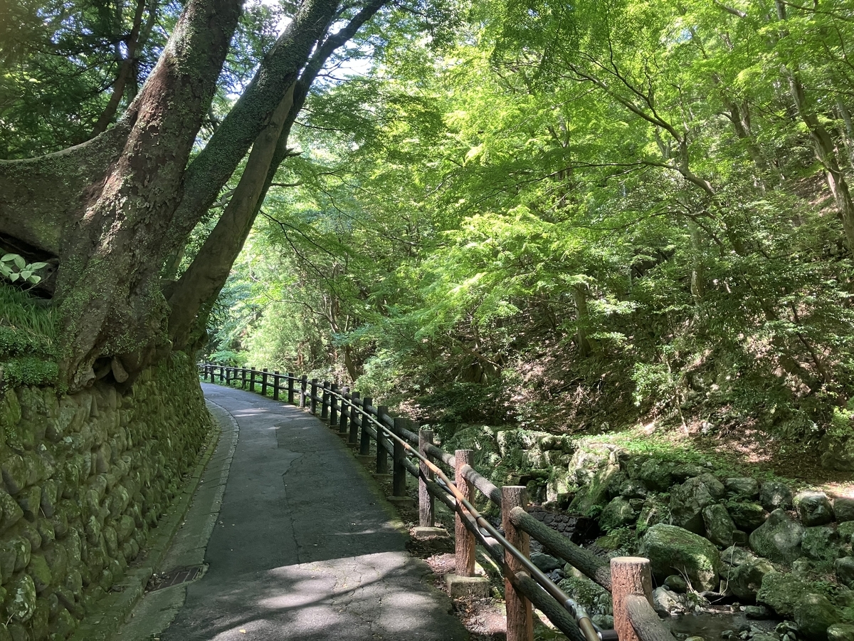 養老の滝までの道