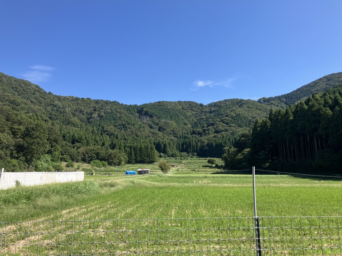 道中２