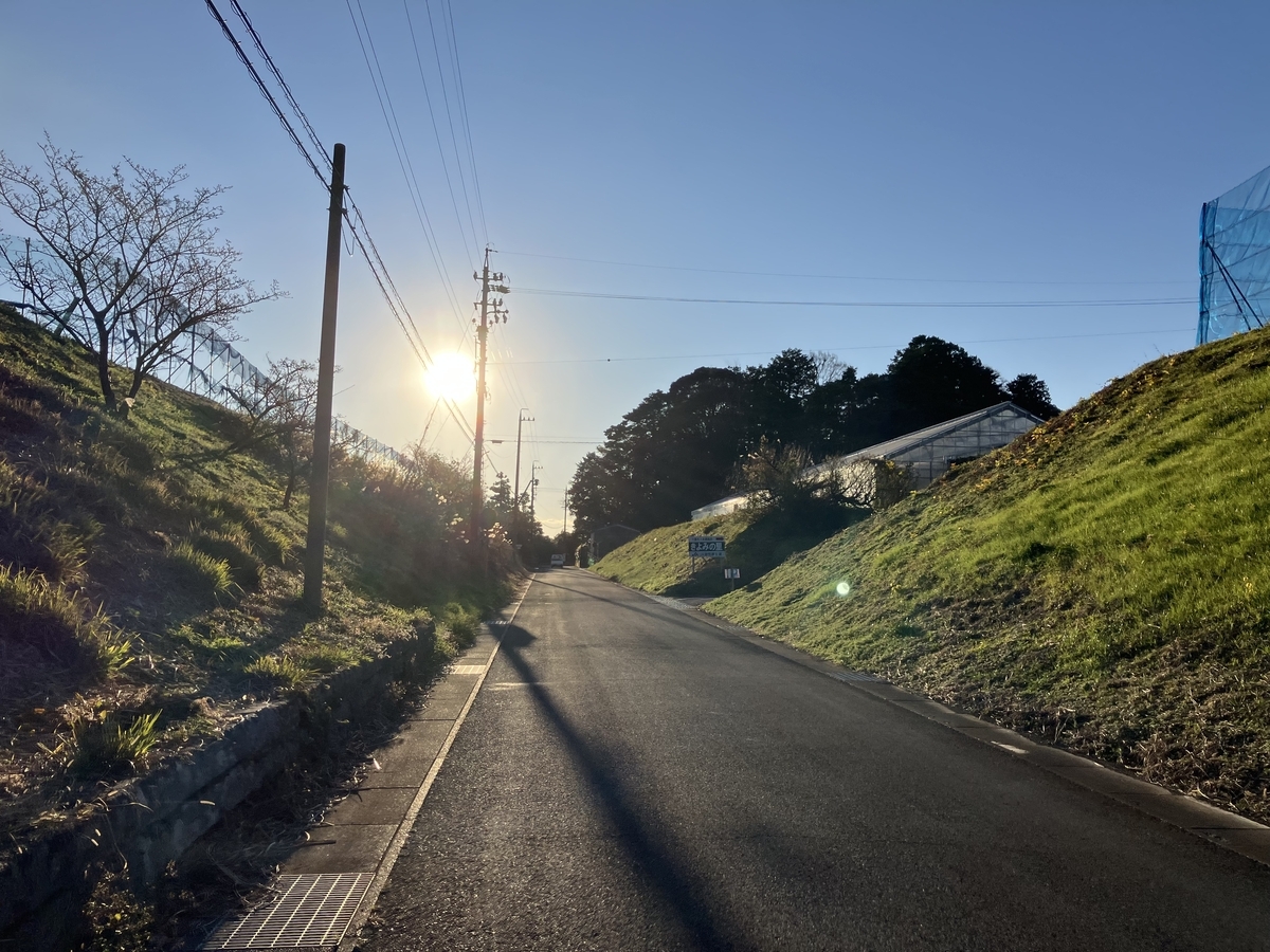 薩埵峠の坂