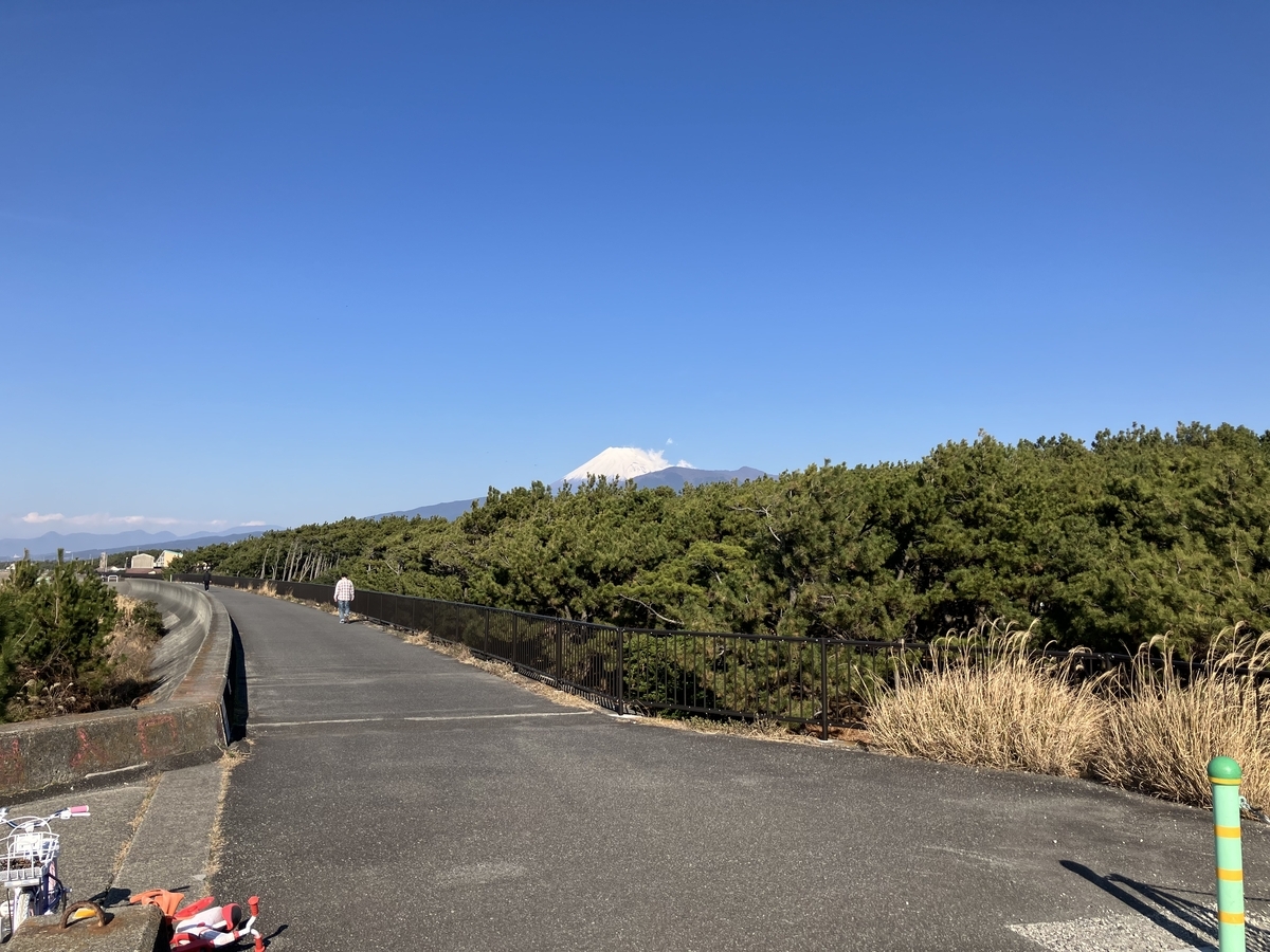 千本松原と富士山