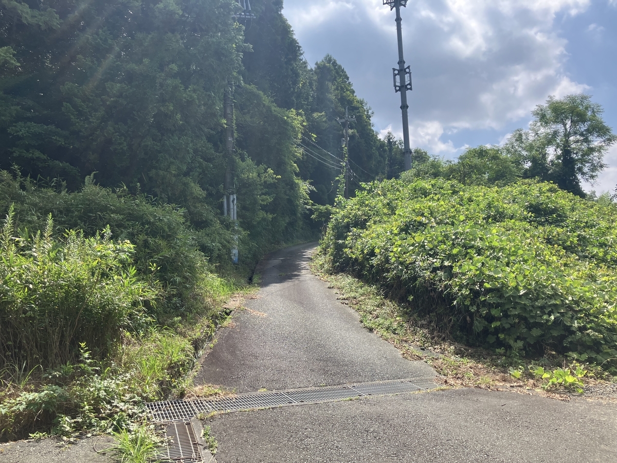 坂