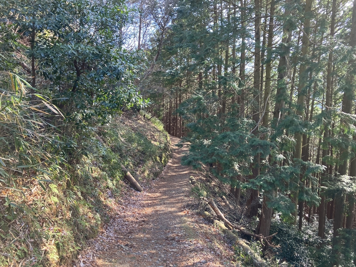 天空の遊歩道２