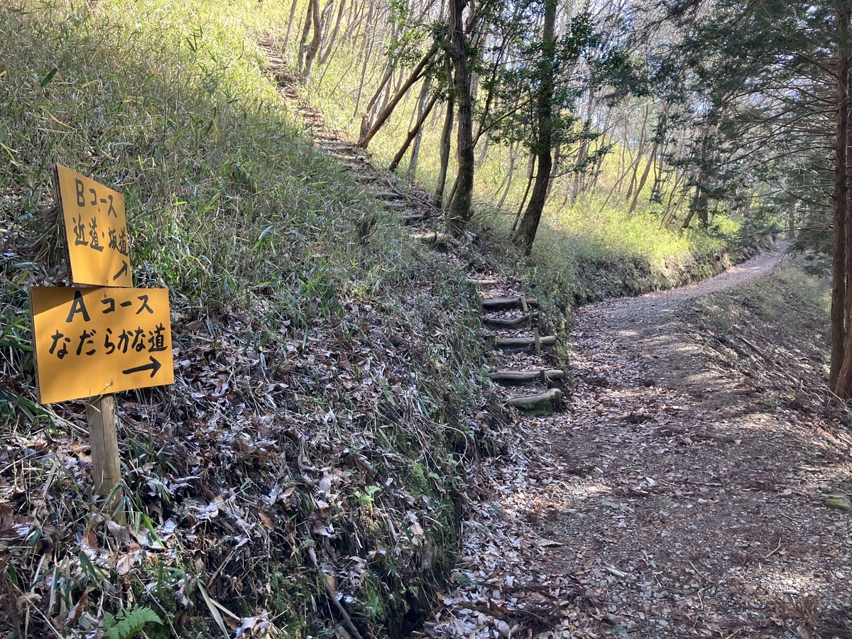 天空の遊歩道３