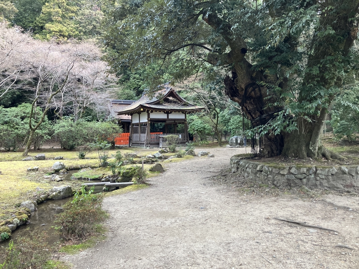 木