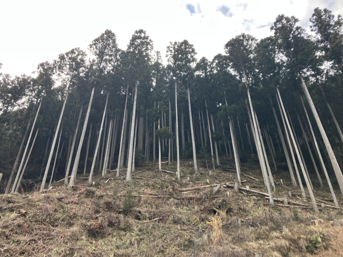 山