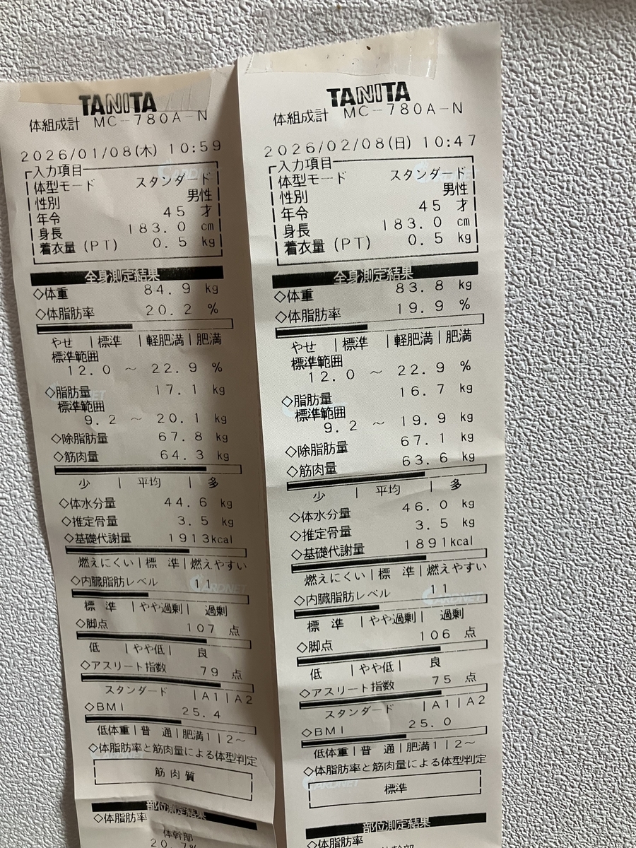 体組成結果
