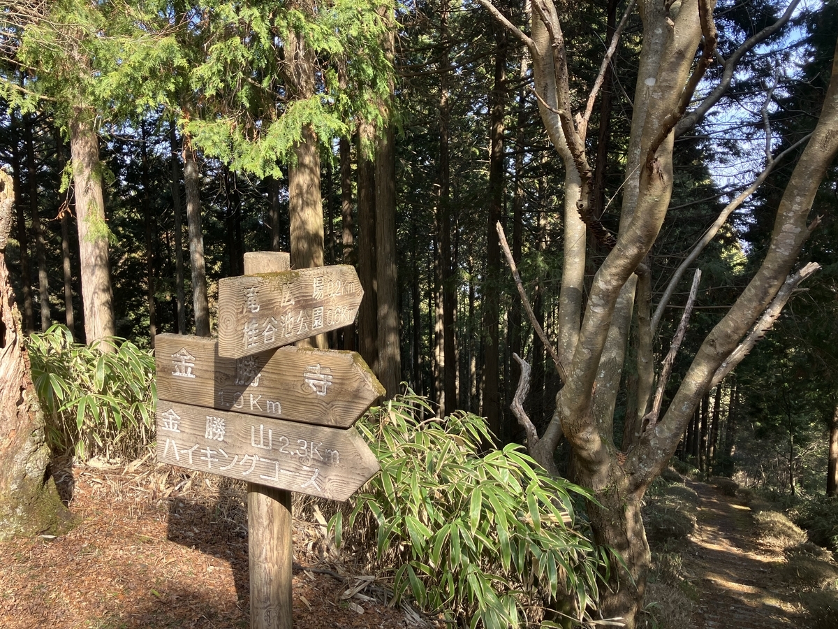 道中５