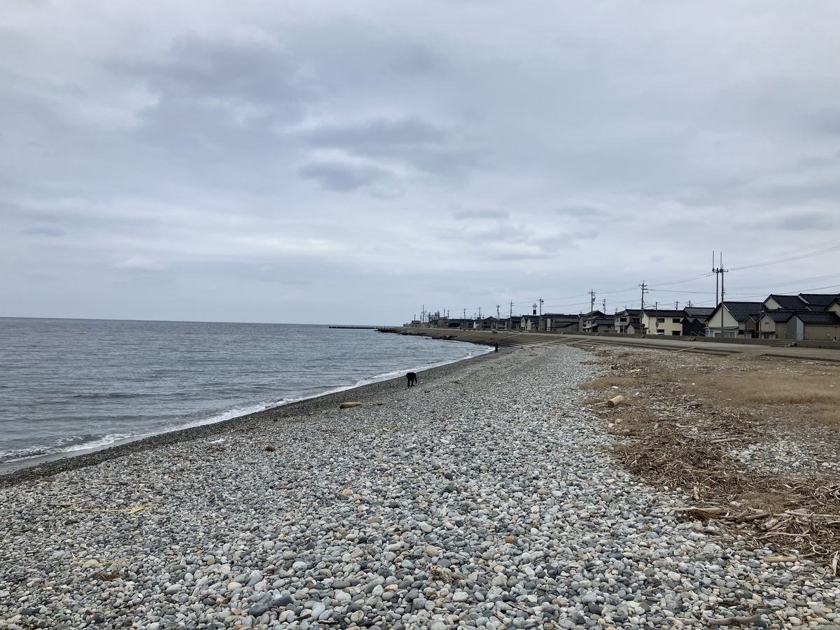 生地海岸