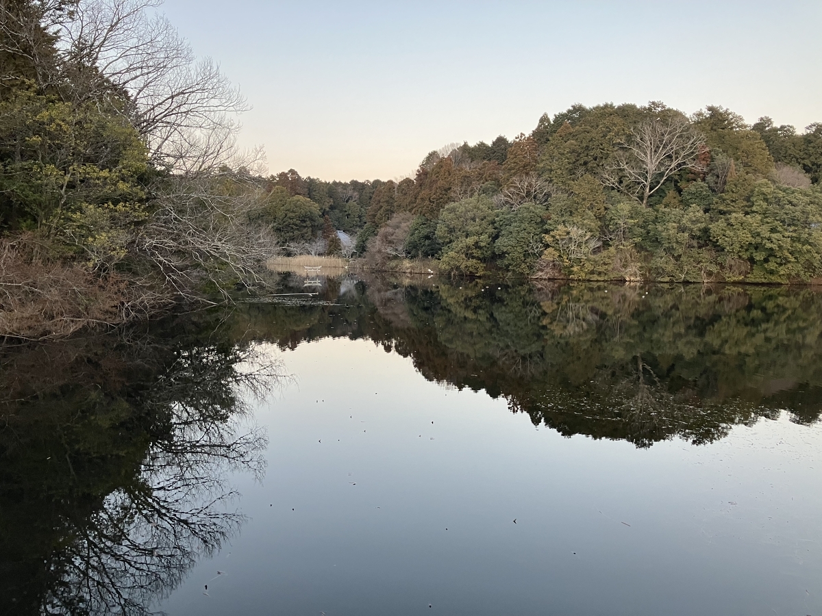 弁天池の沈み鳥居