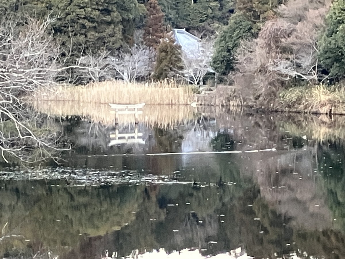 弁天池の沈み鳥居ズーム