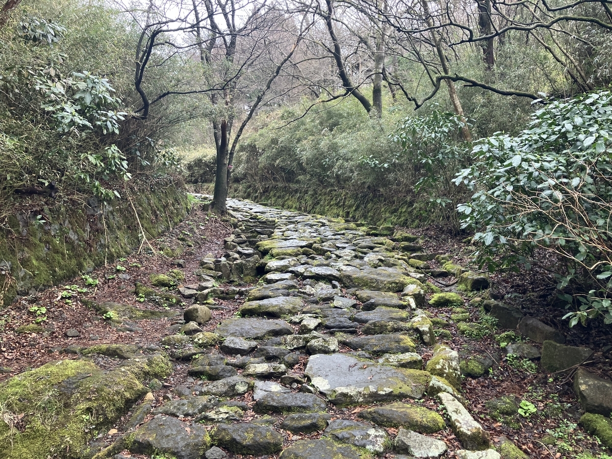箱根峠2