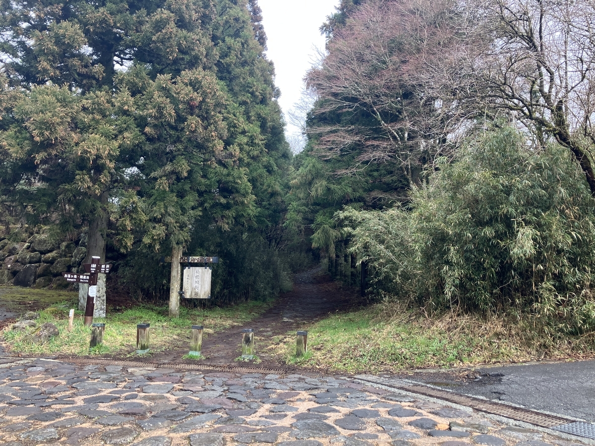 箱根峠3