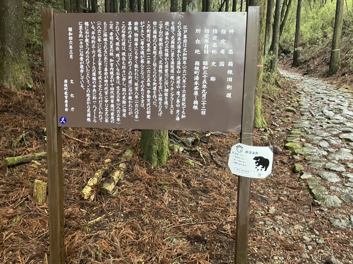 熊注意
