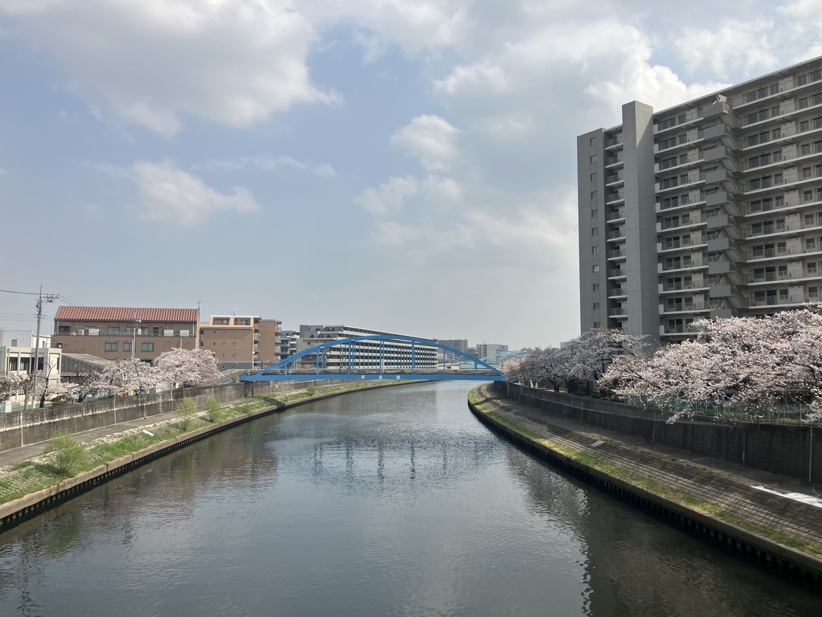 川と桜