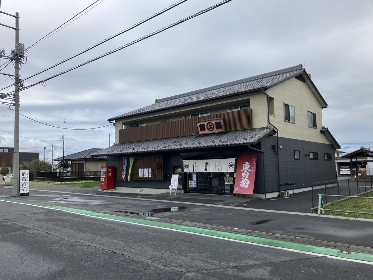 東白菊