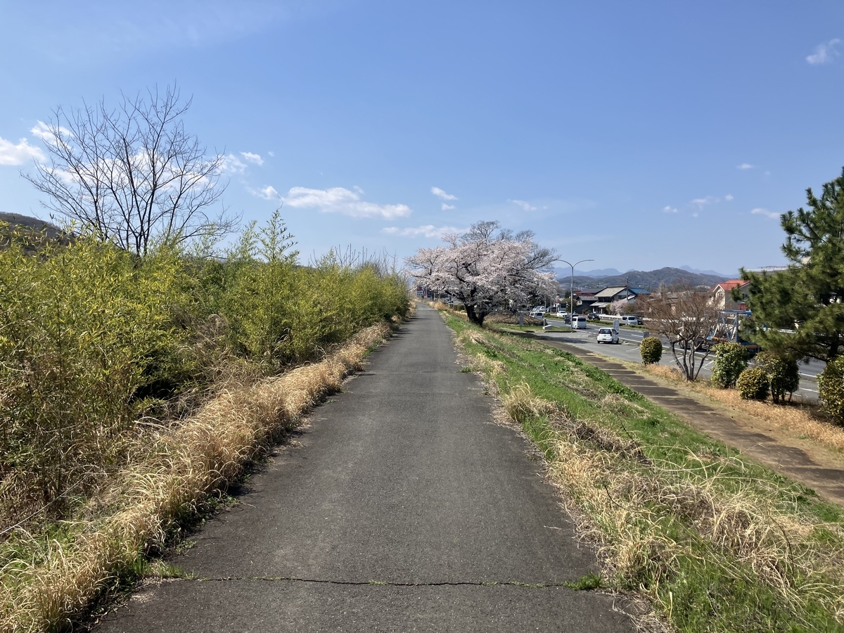 河川敷沿い