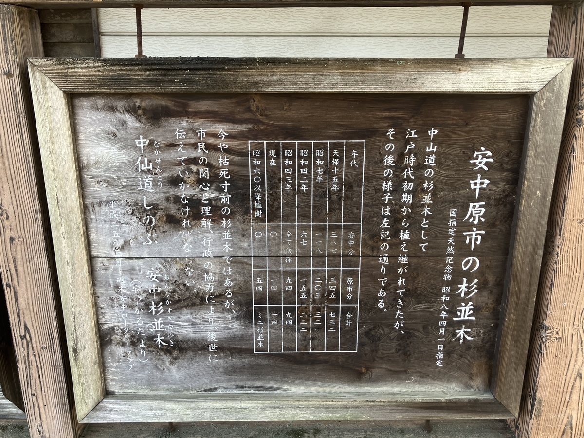 杉並木説明