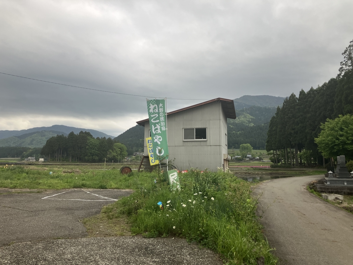 ねこばやし