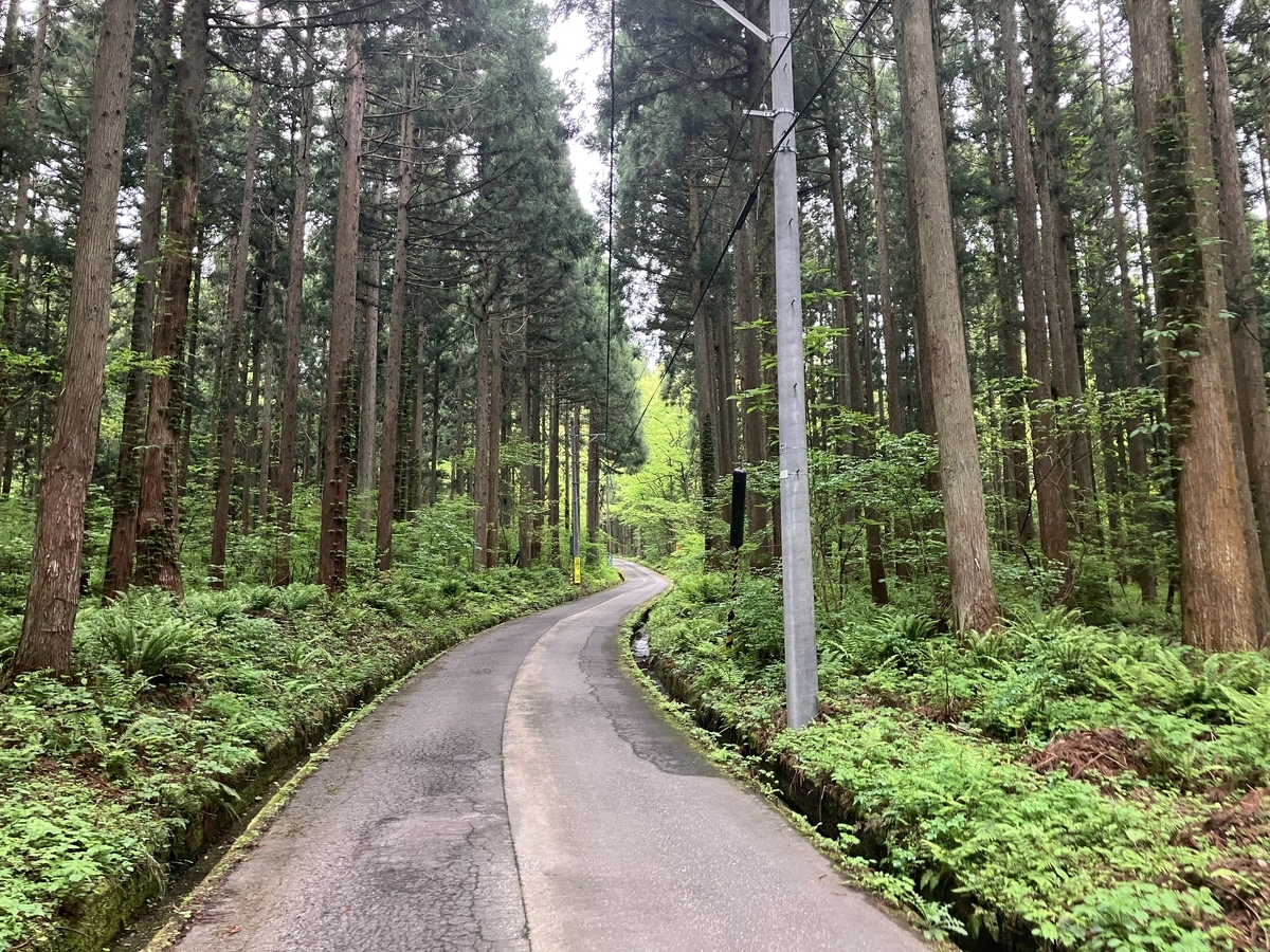 林道