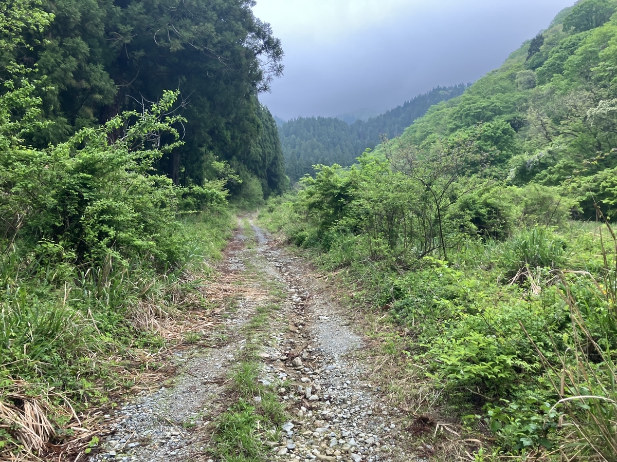 登山2