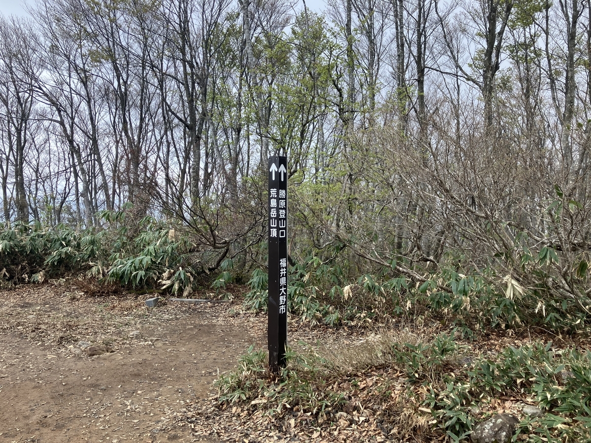 分岐
