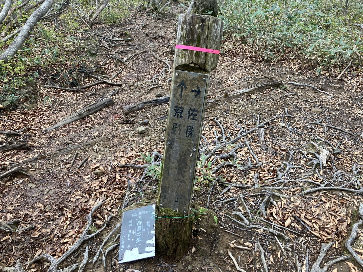 分岐2