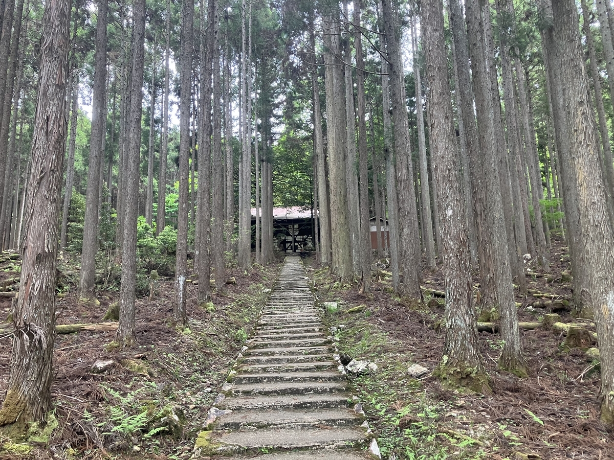 鳥居の先
