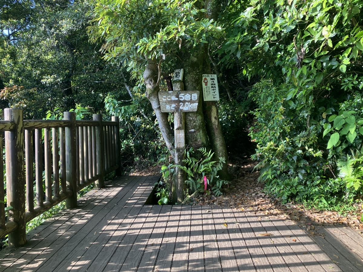 5合目