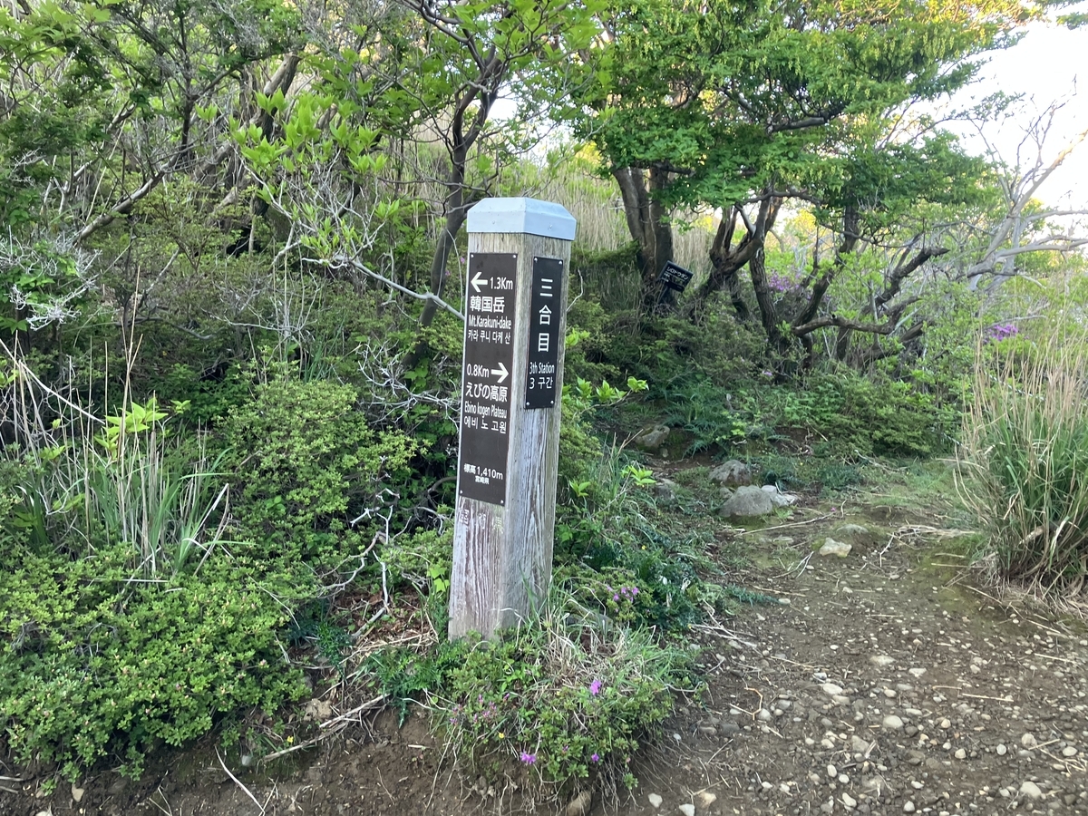 道中8