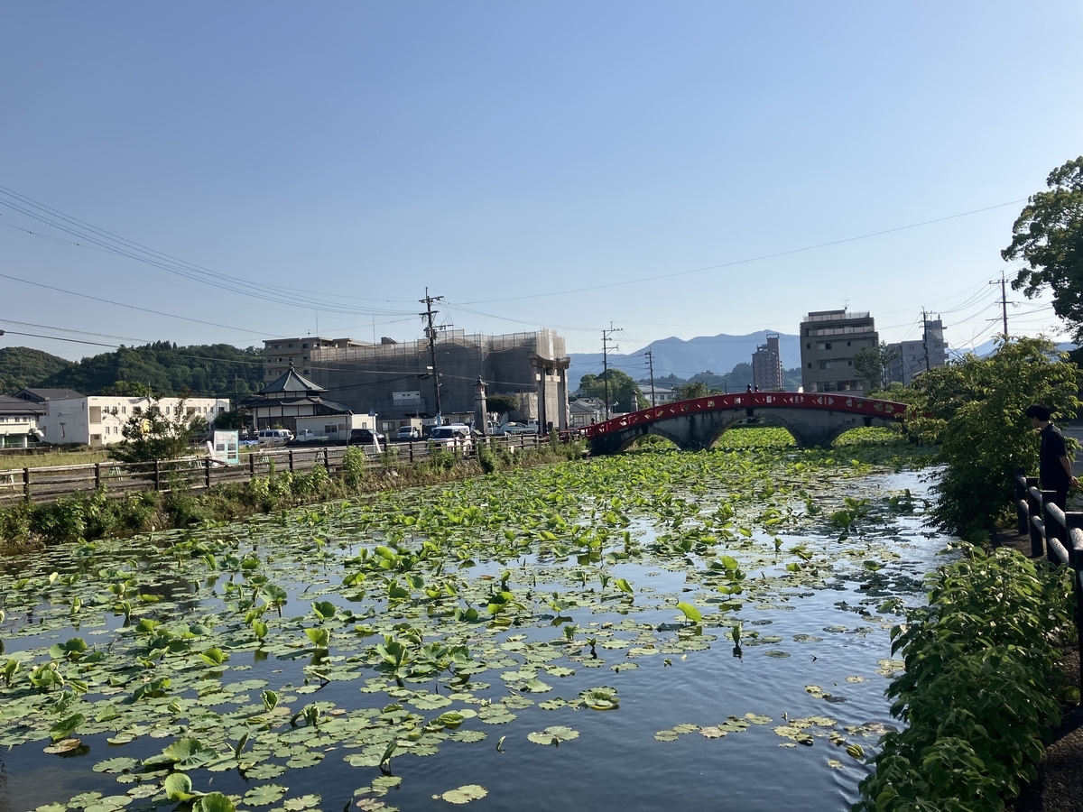 青井阿蘇神社前の池