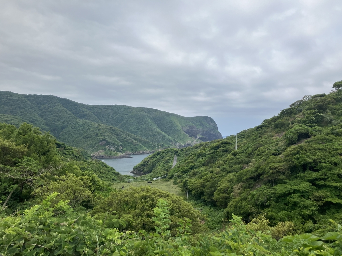 風景