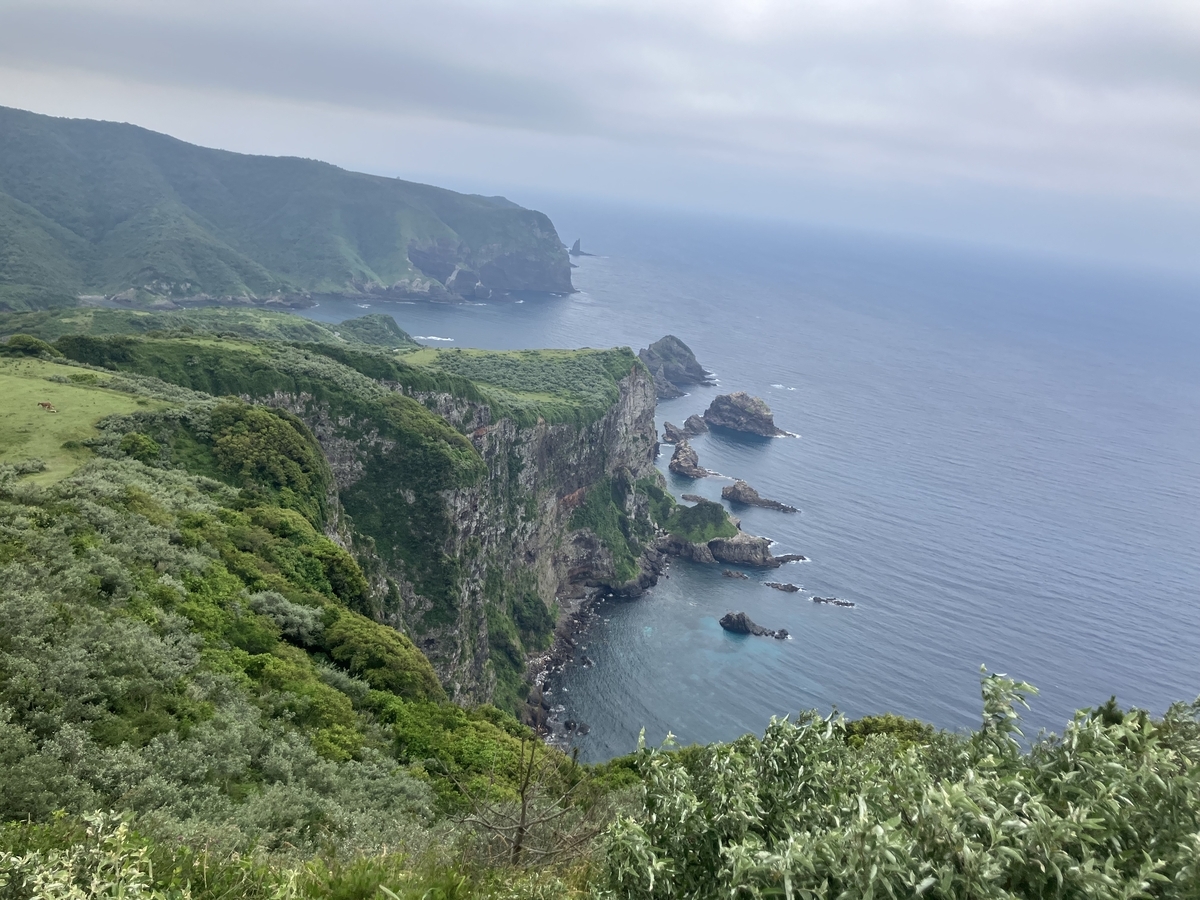 摩天崖2