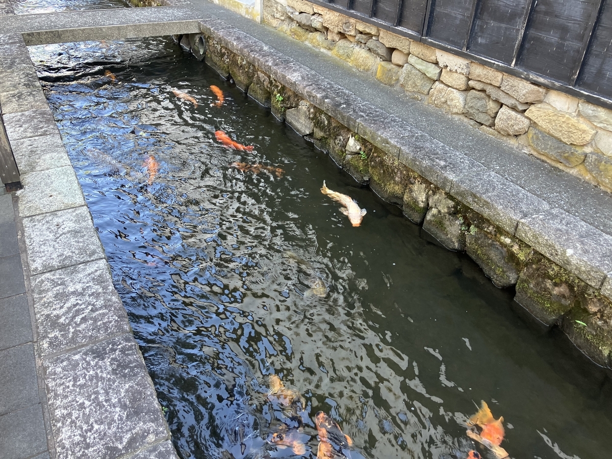 瀬戸川と白壁土蔵街2
