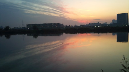 f:id:shige0514:20101107165445j:image
