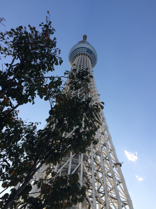 f:id:shige0818:20141113154218j:image:w360