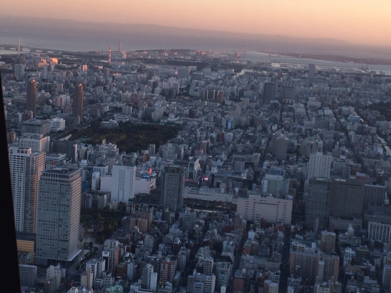 f:id:shige0818:20141113162833j:image:w360