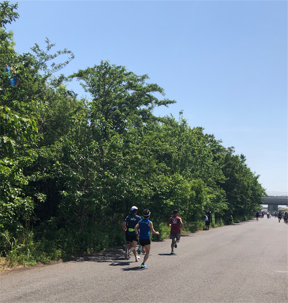 f:id:shige1374:20190527200703p:image f:id:shige1374:20190527200703p:image