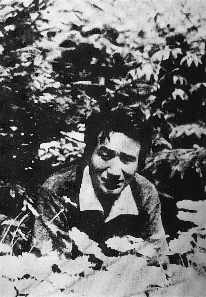 f:id:shige97:20200511100450j:plain